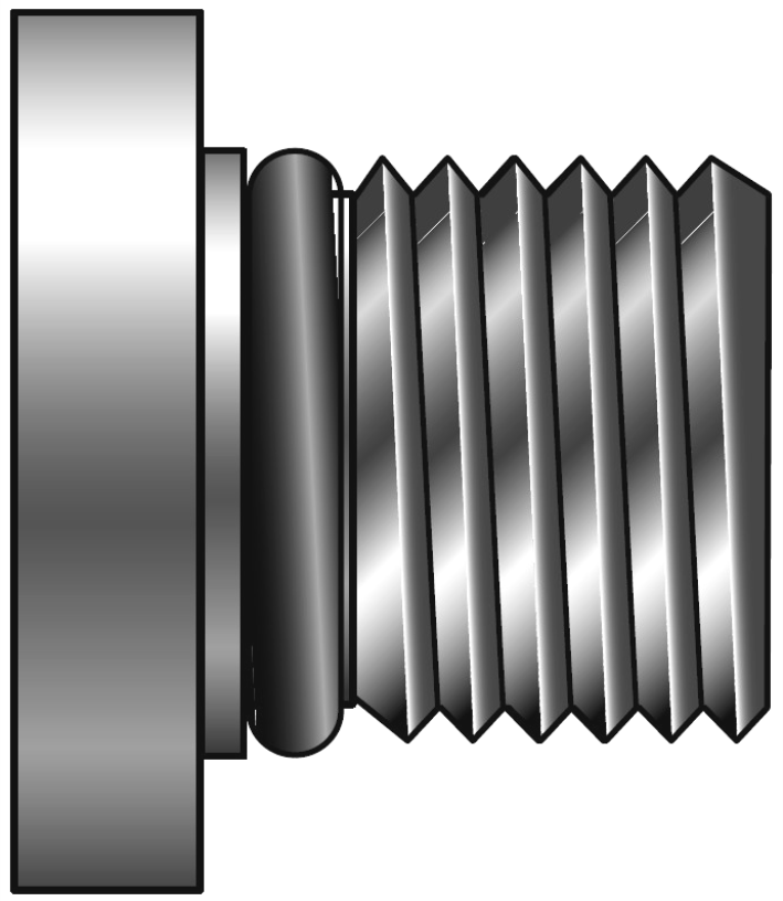 Hollow Hex Plug SAE